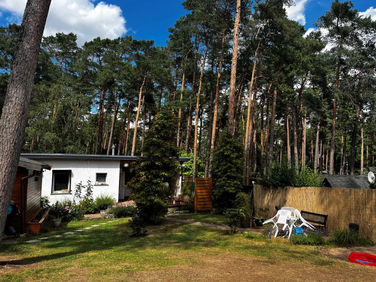 Kiefernblick Villa Plotzky Екстериор снимка